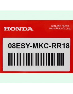 Kit altavoces trasero (SIN TOPBOX) Honda Goldwing GL1800 Bagger 2019 08ESY-MKC-RR18